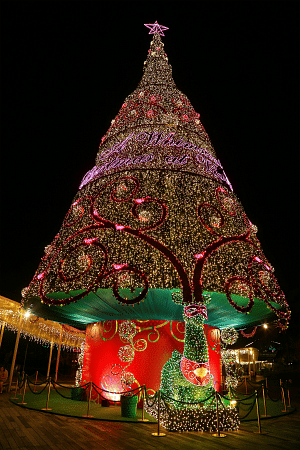 Vivo Christmas Tree (night).png